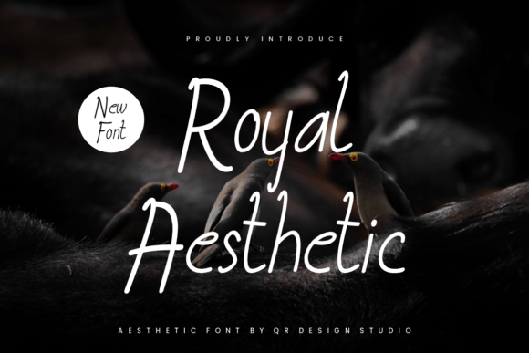 Royal Aesthetic: A Sweet Handwritten Font for Creative Products