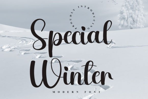 Special Winter: A Serene Script for Editorial Mood and Identity