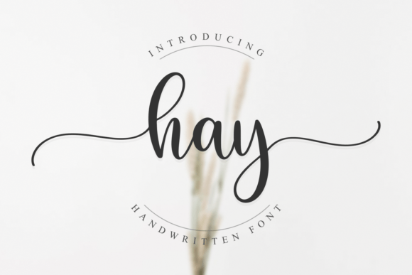 The Quiet Elegance of Hay: A Font for Better Stories